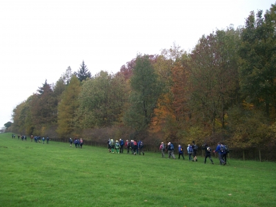 Lovely autumn colours