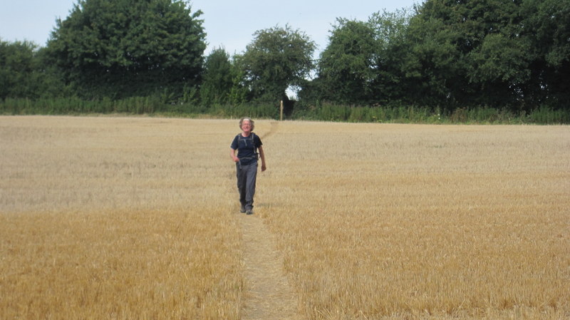 Carefully through the crops