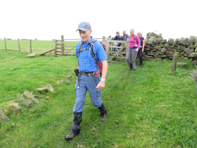 Freddie Striding Out Freddie Striding Out