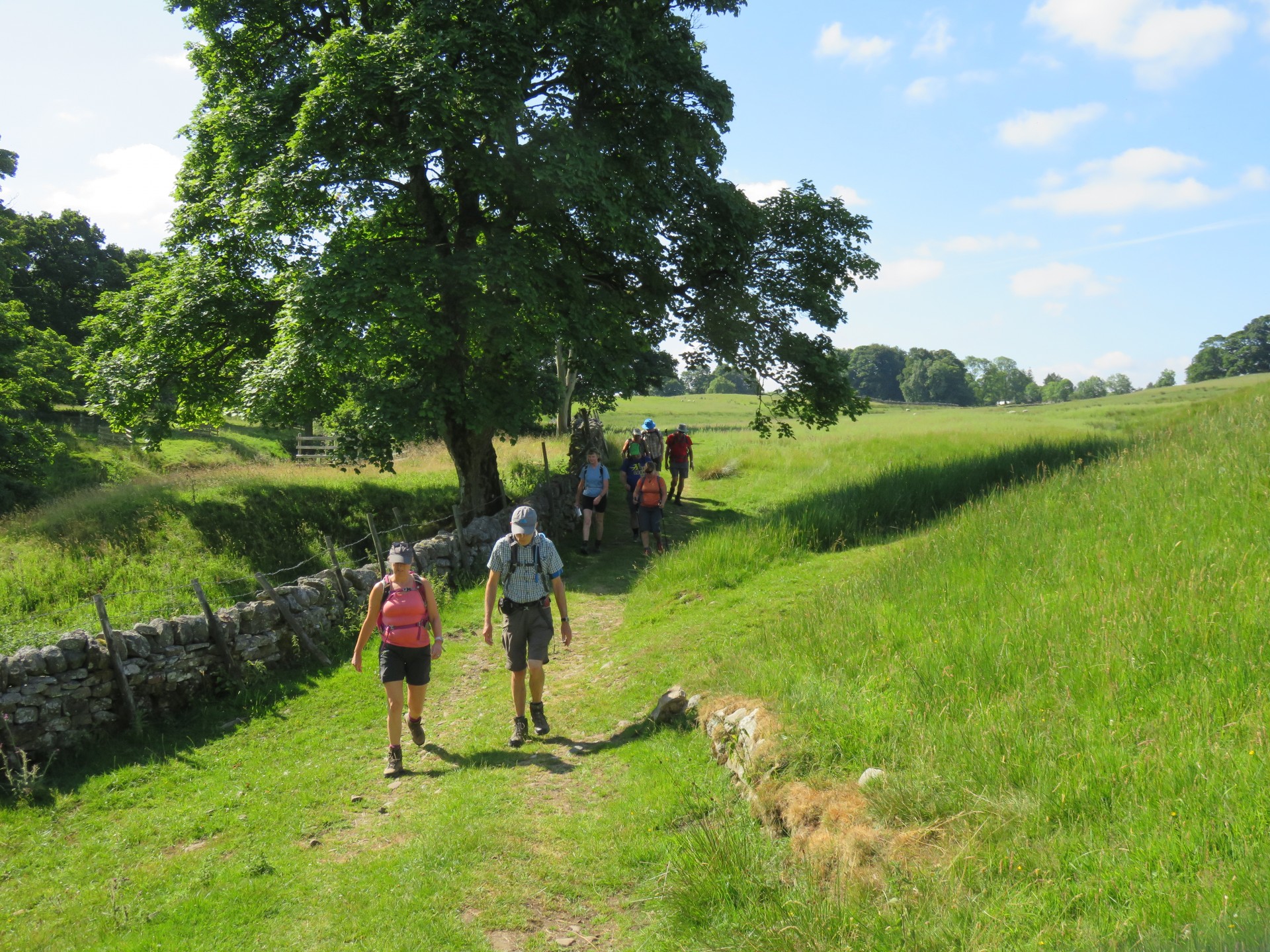Gentle Start from Alston Gentle start from Alston