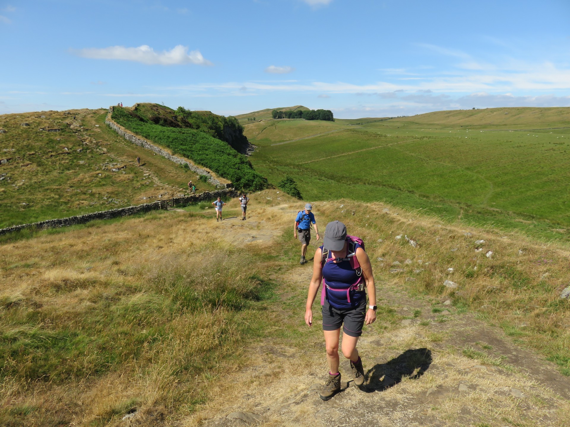 Plodding along in the heat (again) Plodding along in the heat (again)