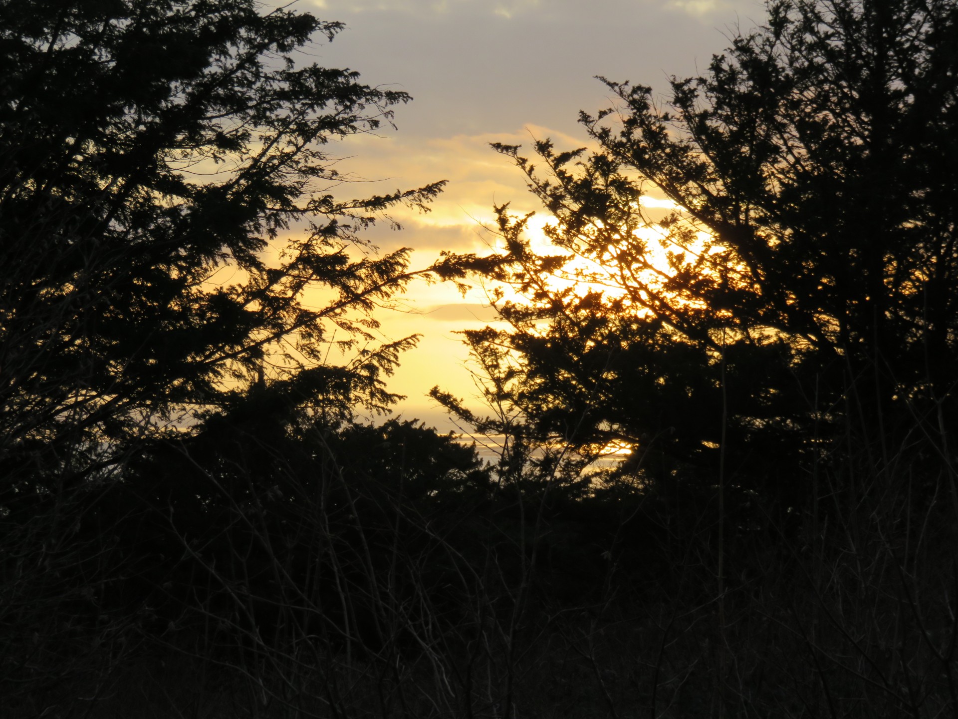 Setting Sun