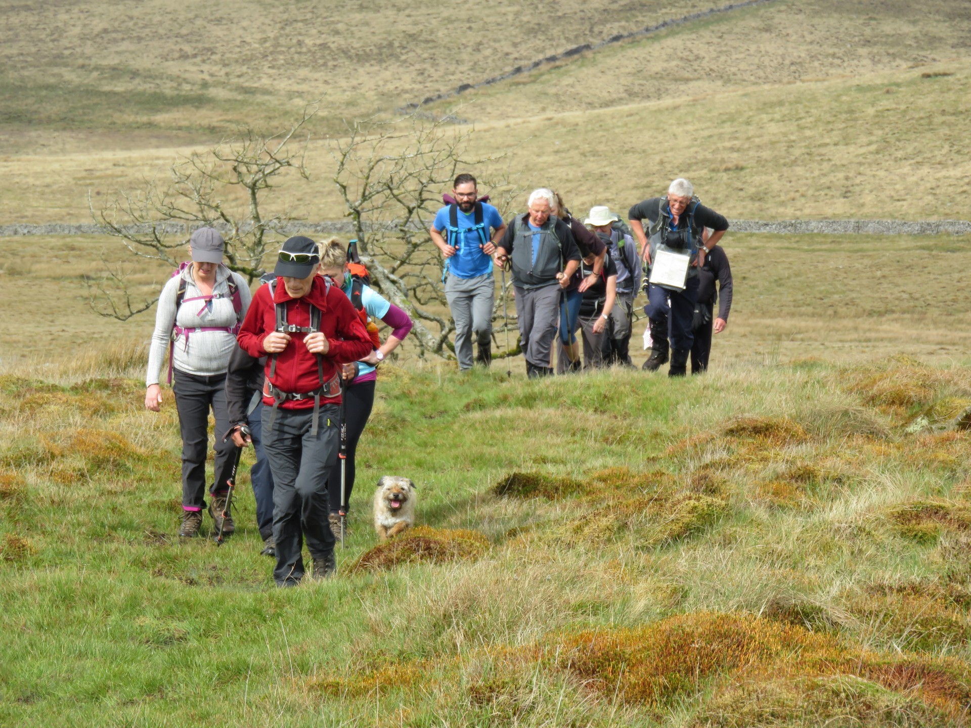 Climbing the slopes of Aye Gill Pike Climbing the slopes of Aye Gill Pike