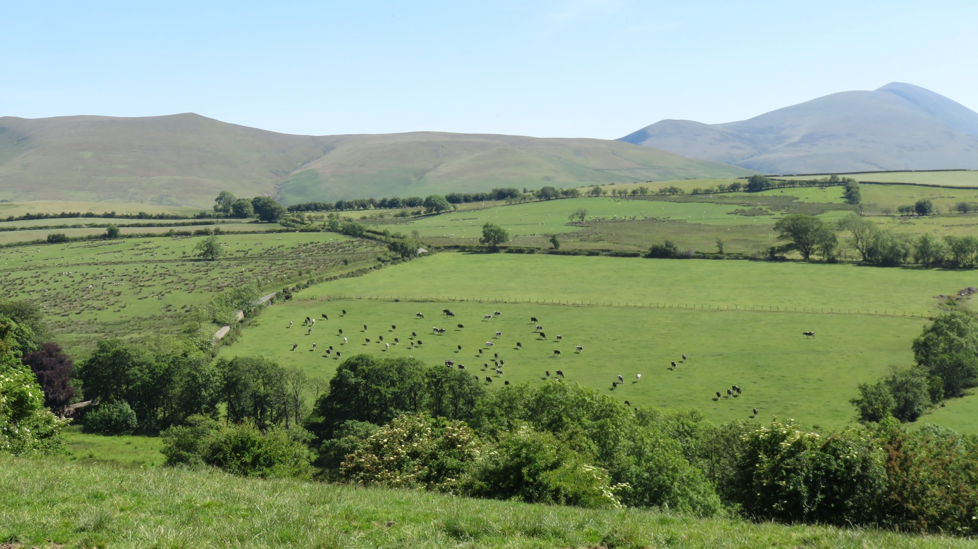 View from the cafe - bucolic View from the cafe - bucolic