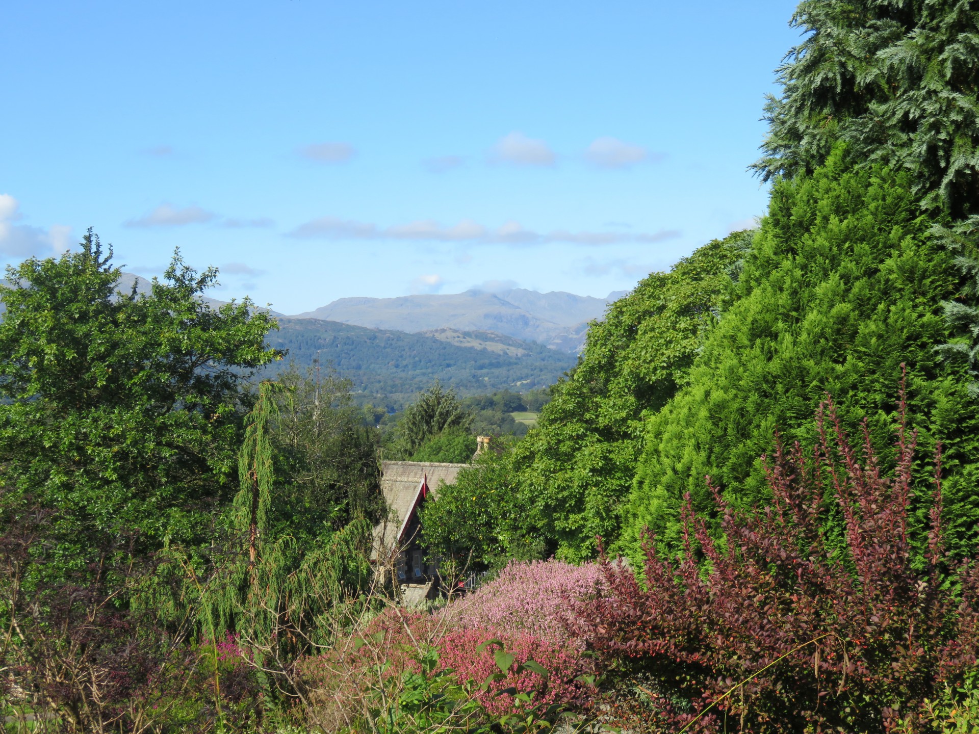 View from the gardens View from the gardens
