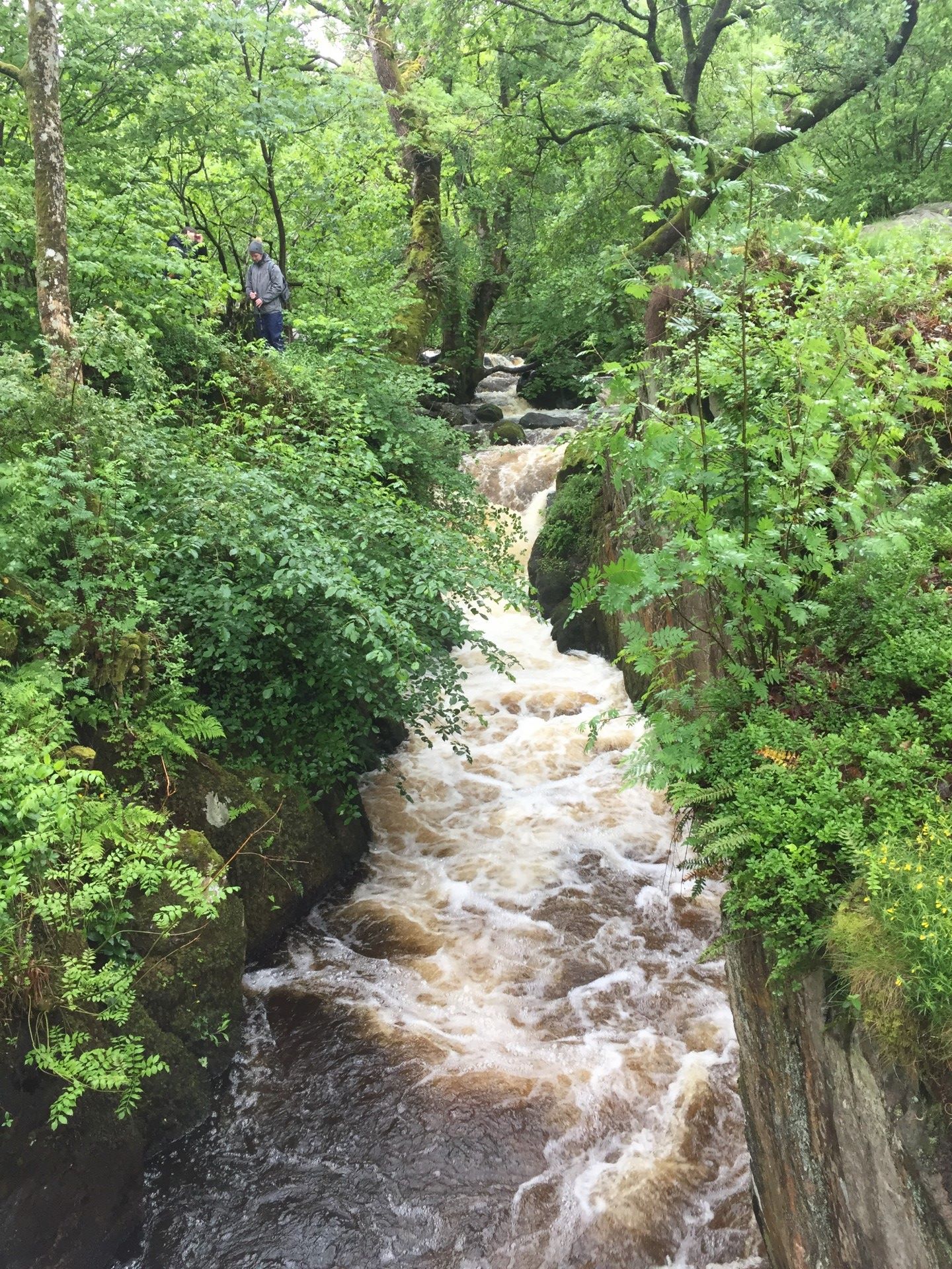 Aira Force Aira Force