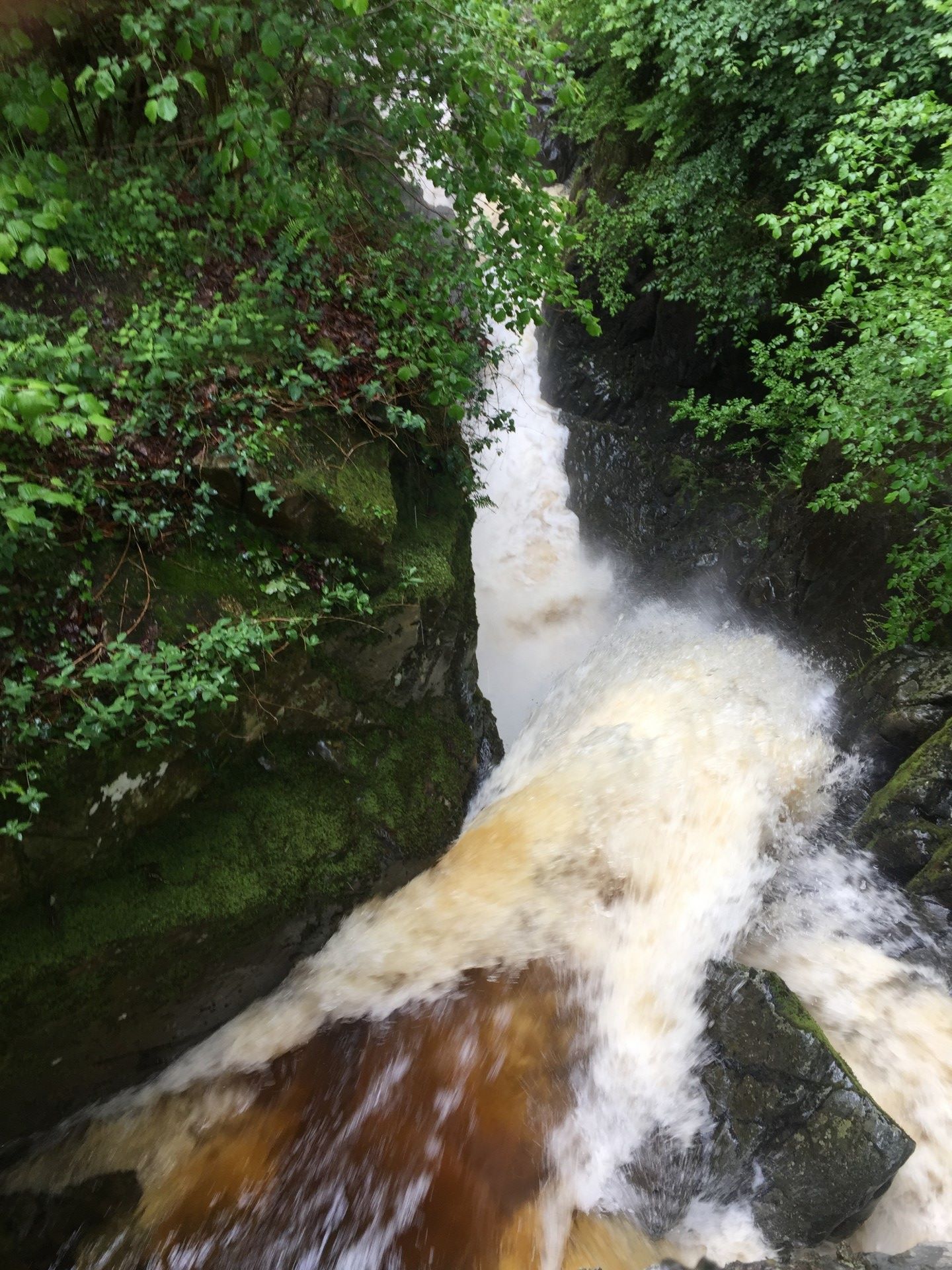 Aira Force Aira Force