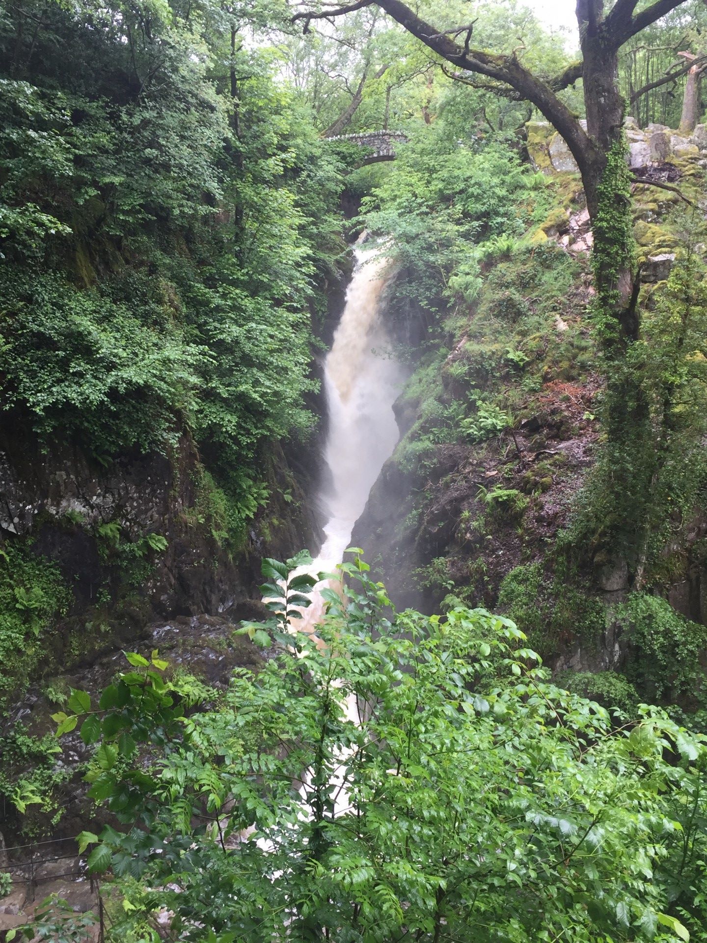 Aira Force Aira Force