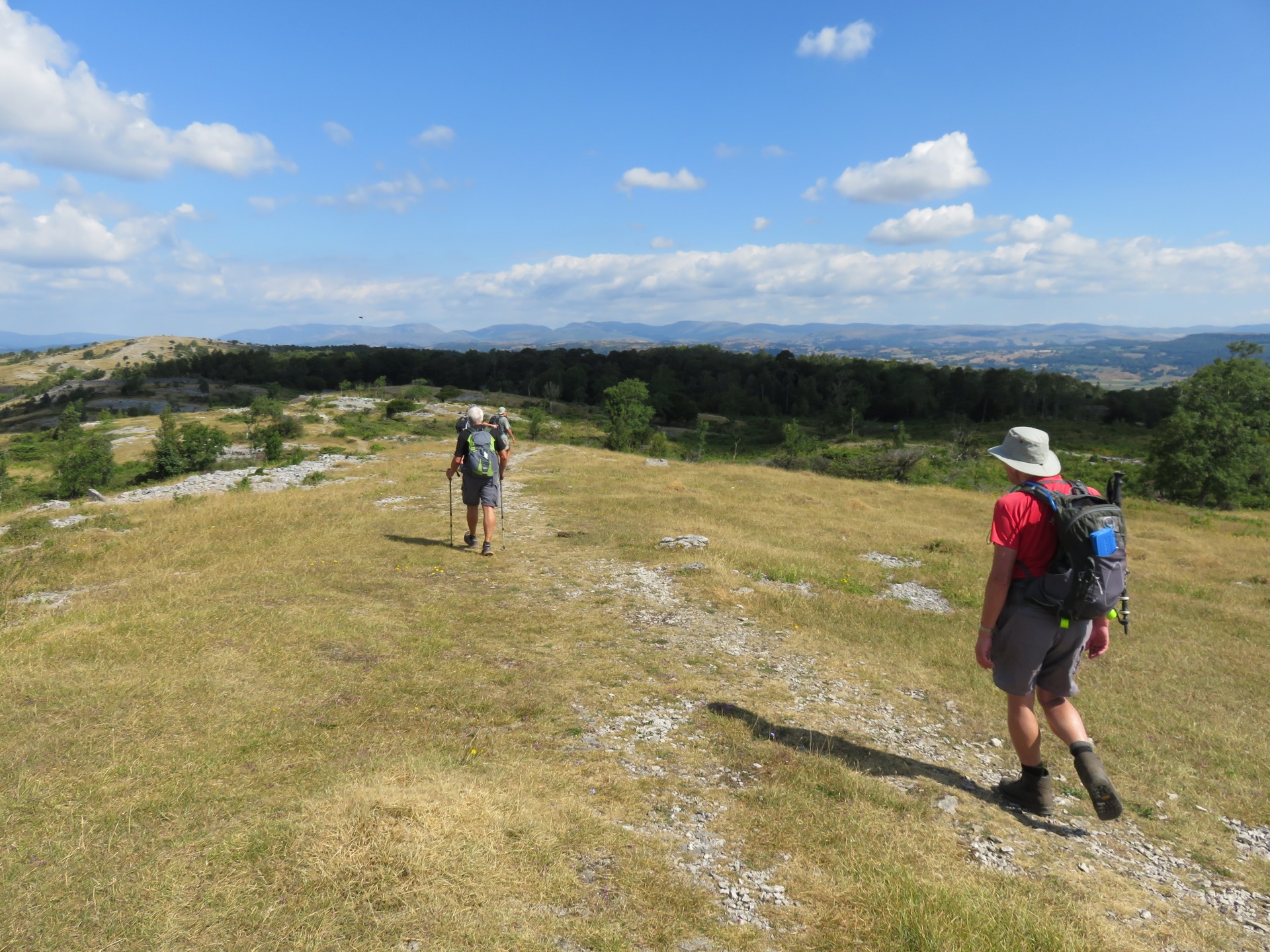 Along Whitbarrow Ridge Along Whitbarrow Ridge