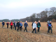 Muddy field - the group on a Type 2b path