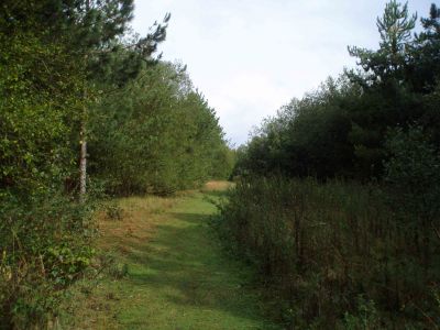 19 Danes Hill Nature Reserve