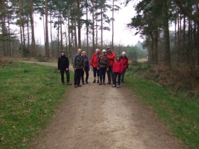 03 Willingham Woods