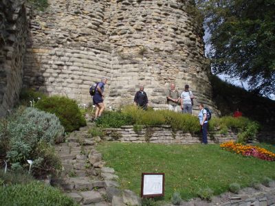 07 Liquorice Plants - Pontefract Castle