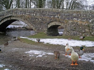 Duck with Attitude  - Linton lunch stop