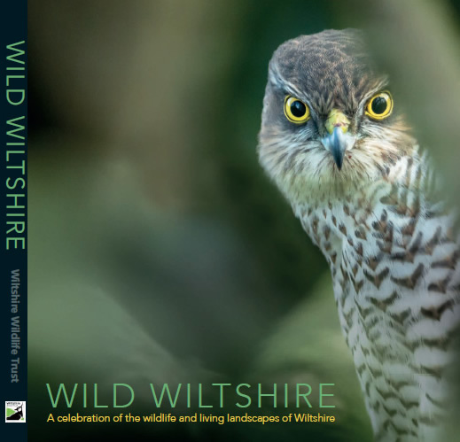Wild Wiltshire